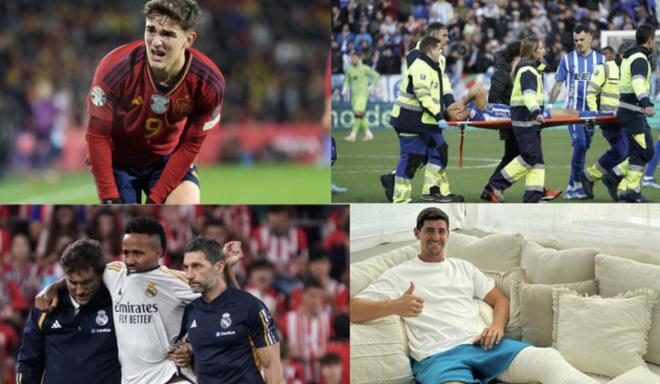 球迷们热切 球迷们热切